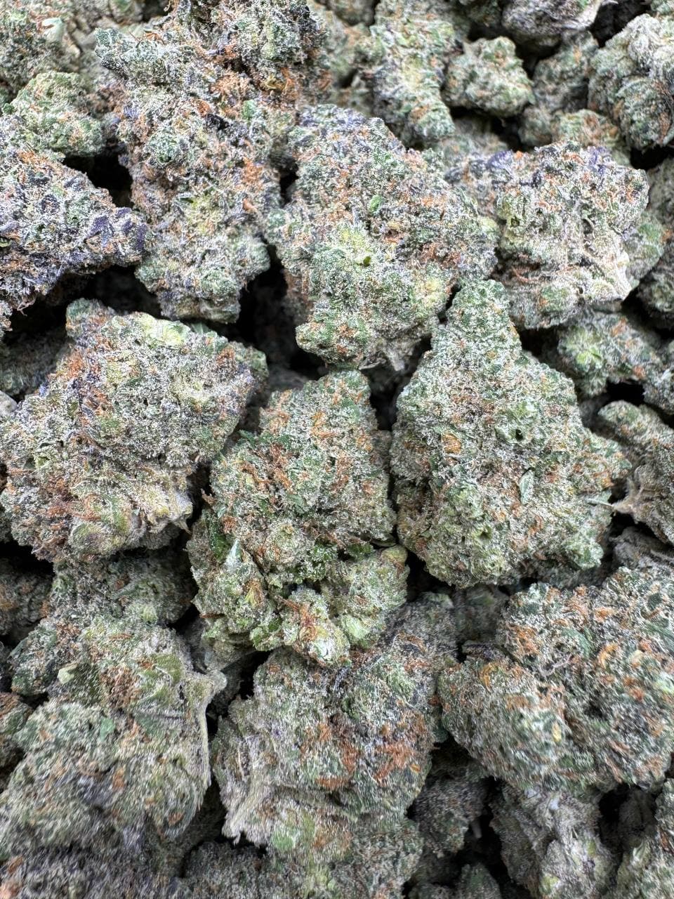 Lava Cake